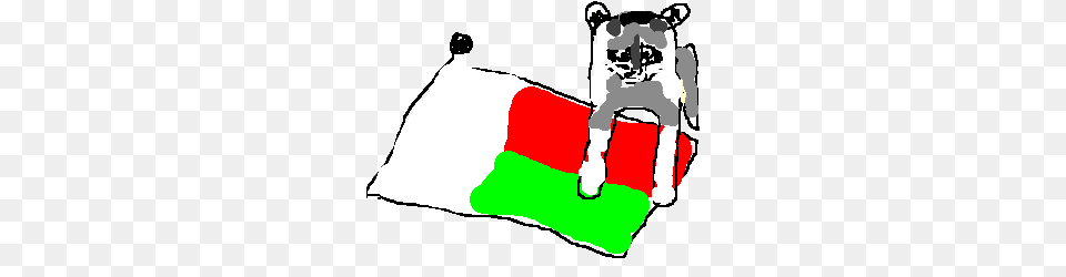 Racoon On Flag Of Madagascar, Clothing, Hosiery, Dynamite, Weapon Free Png