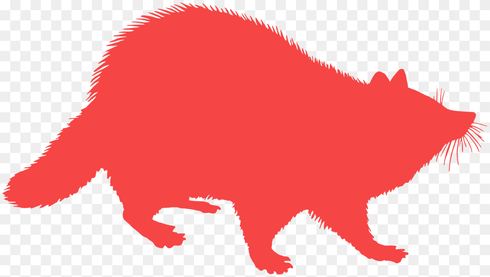 Racoon Silhouette, Animal, Cat, Mammal, Pet Png