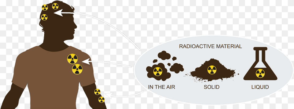 Radiation Contamination Versus Exposure Chemicals Language, Adult, Chart, Male, Man Png Image