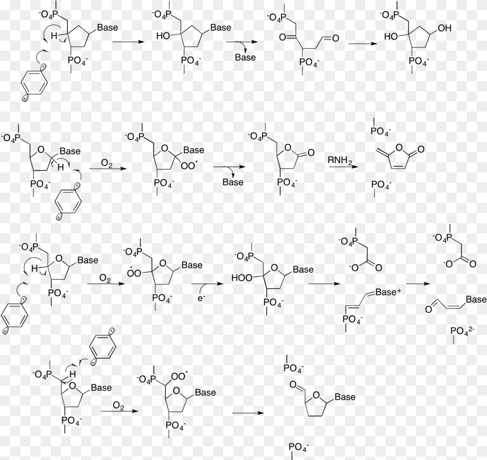 Radical Reaction With Dna, Nature, Night, Outdoors Free Png