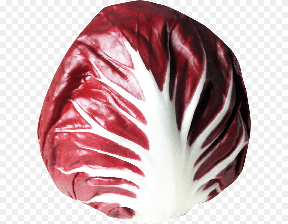 Radicchio, Food, Leafy Green Vegetable, Plant, Produce Free Png Download