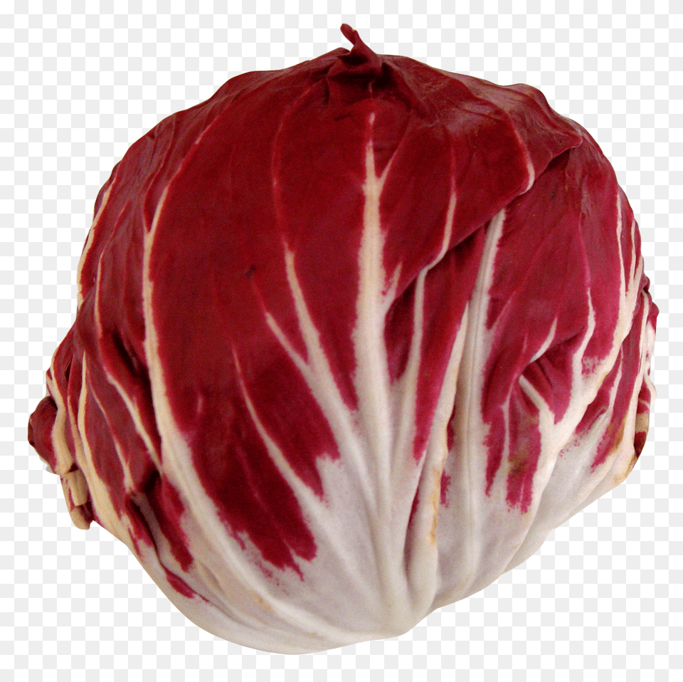 Radicchio Image, Food, Leafy Green Vegetable, Plant, Produce Free Png Download