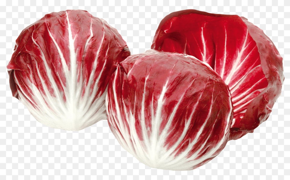 Radicchio Red Salad Image, Food, Leafy Green Vegetable, Plant, Produce Free Png Download