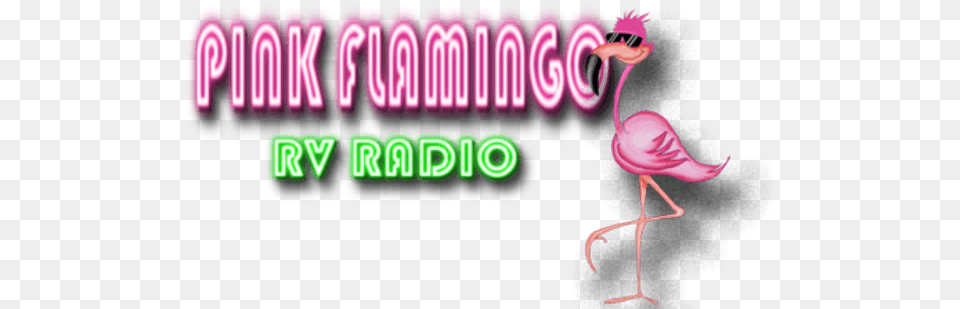 Radio Flamingo, Animal, Bird Png Image
