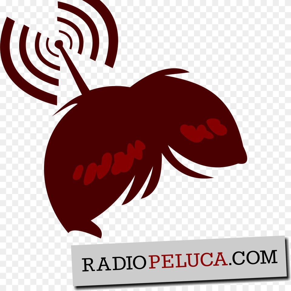 Radio Peluca Antenna, Animal, Sea Life, Food, Seafood Png Image
