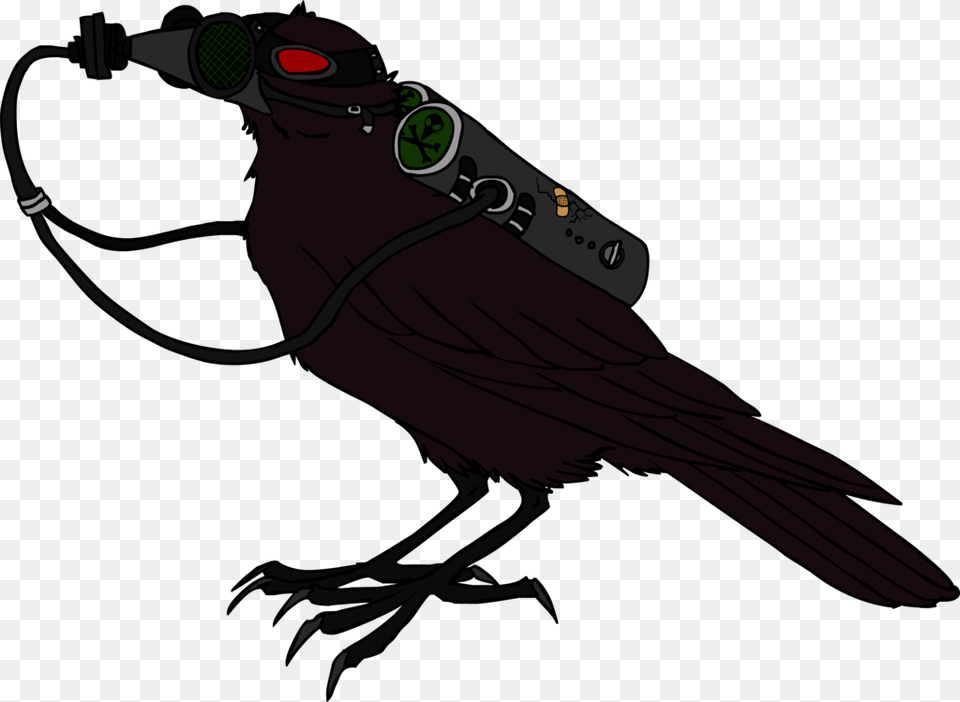 Radioactive Crow, Animal, Bird, Blackbird, Person Free Png