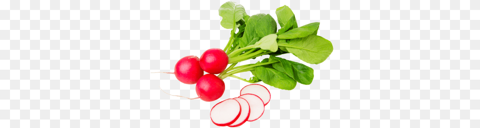 Radish, Food, Plant, Produce, Vegetable Png