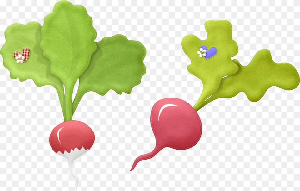 Radish, Food, Produce, Plant, Vegetable Free Transparent Png