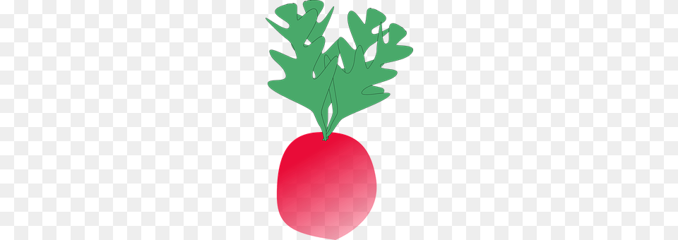 Radish Food, Leaf, Plant, Produce Free Png