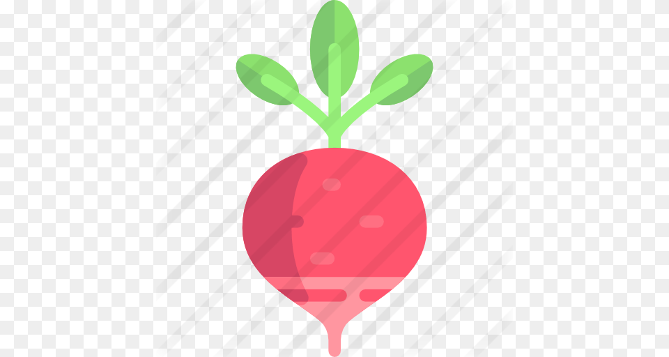 Radish, Food, Plant, Produce, Vegetable Png Image