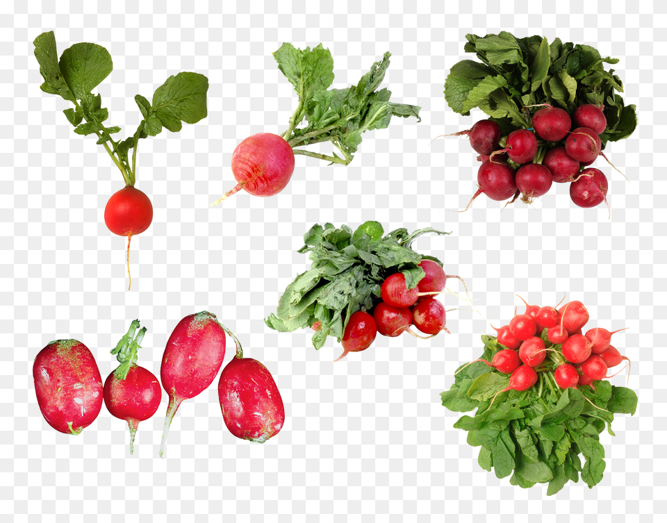 Radish, Food, Plant, Produce, Vegetable Free Transparent Png