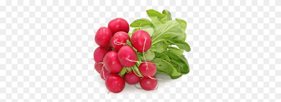 Radish, Food, Plant, Produce, Vegetable Png