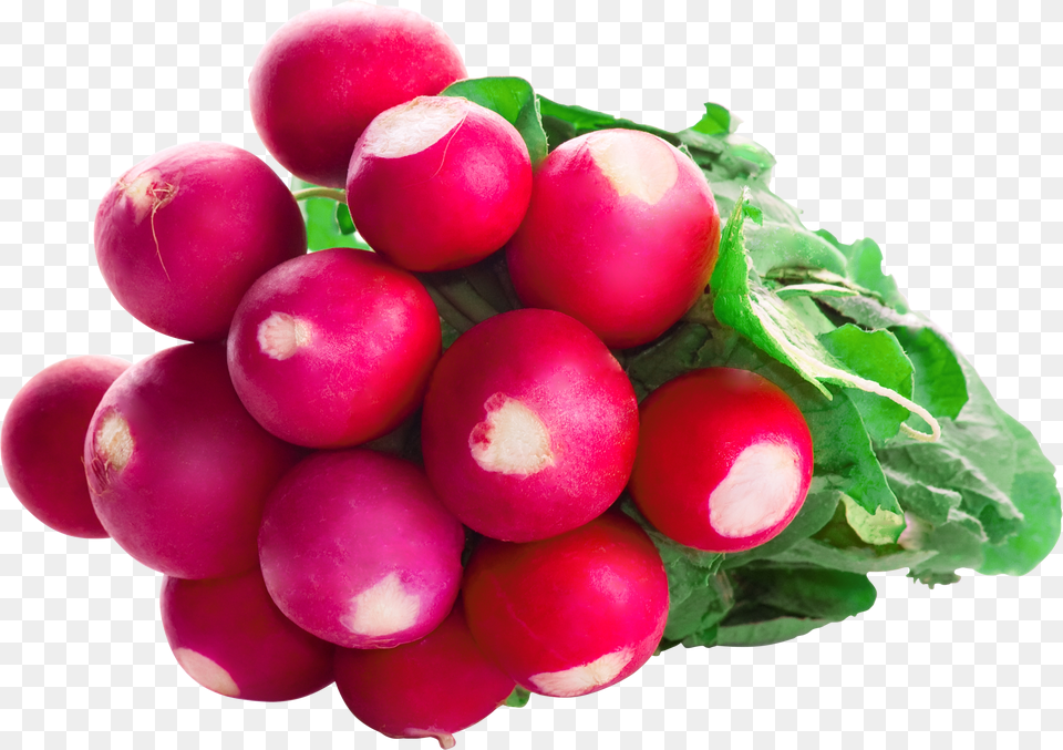 Radish Free Png