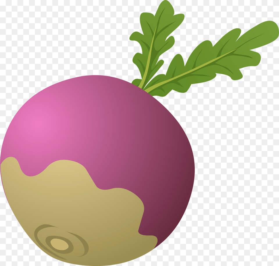 Radish, Food, Produce, Vegetable, Turnip Free Png Download