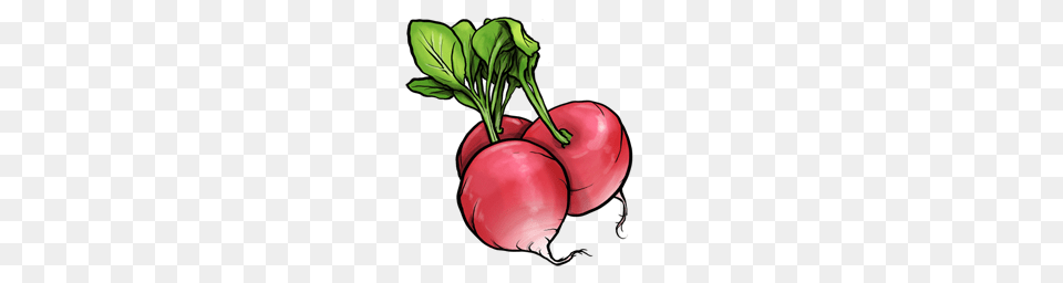 Radish, Food, Produce, Plant, Vegetable Png