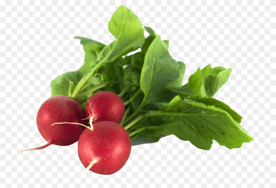 Radish, Food, Plant, Produce, Vegetable Free Transparent Png