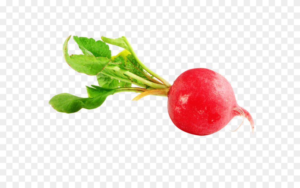 Radish, Food, Plant, Produce, Vegetable Png