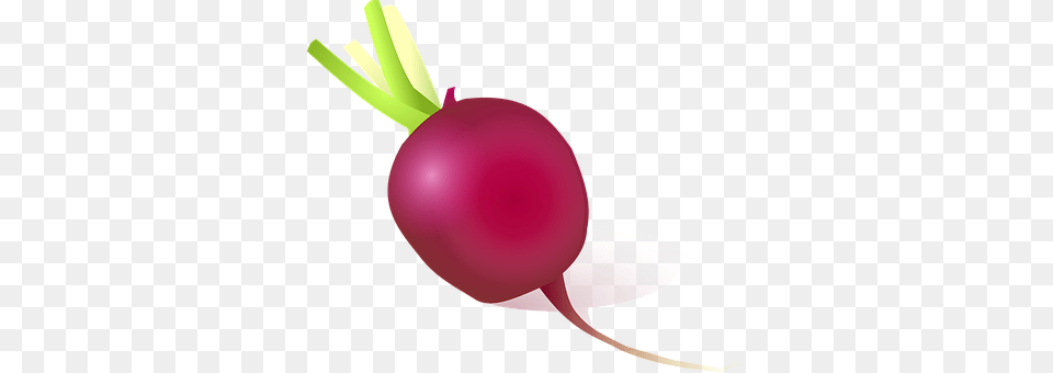 Radish Food, Plant, Produce, Vegetable Free Transparent Png