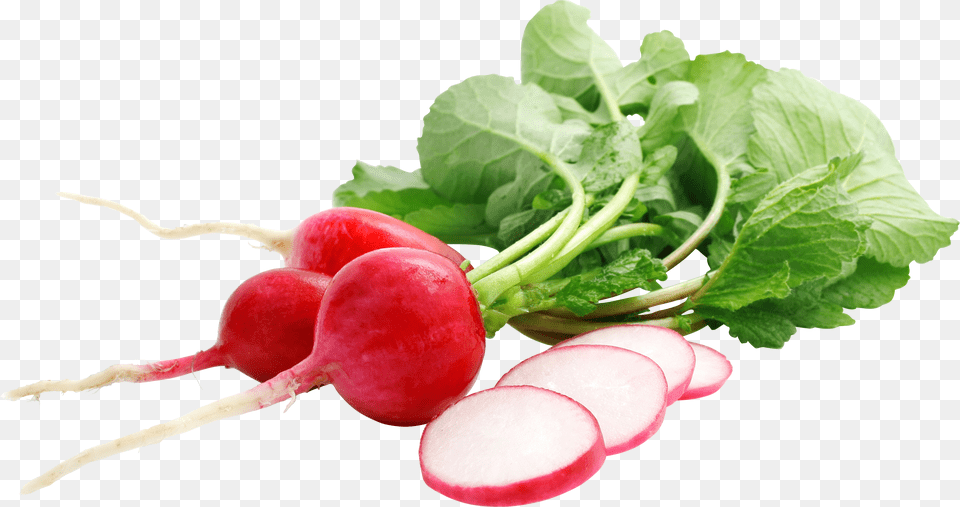 Radish Free Png