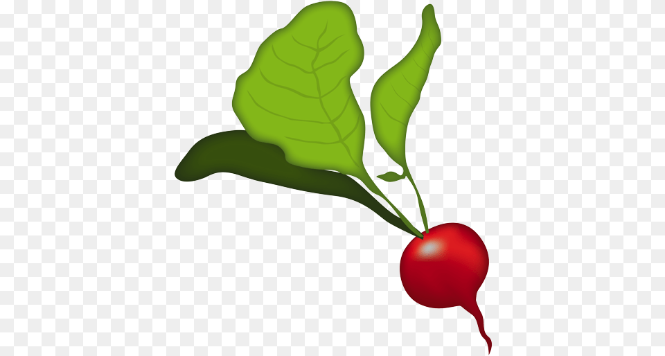 Radish, Food, Produce, Plant, Vegetable Free Png