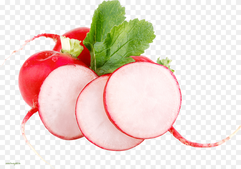 Radish, Food, Plant, Produce, Vegetable Free Png