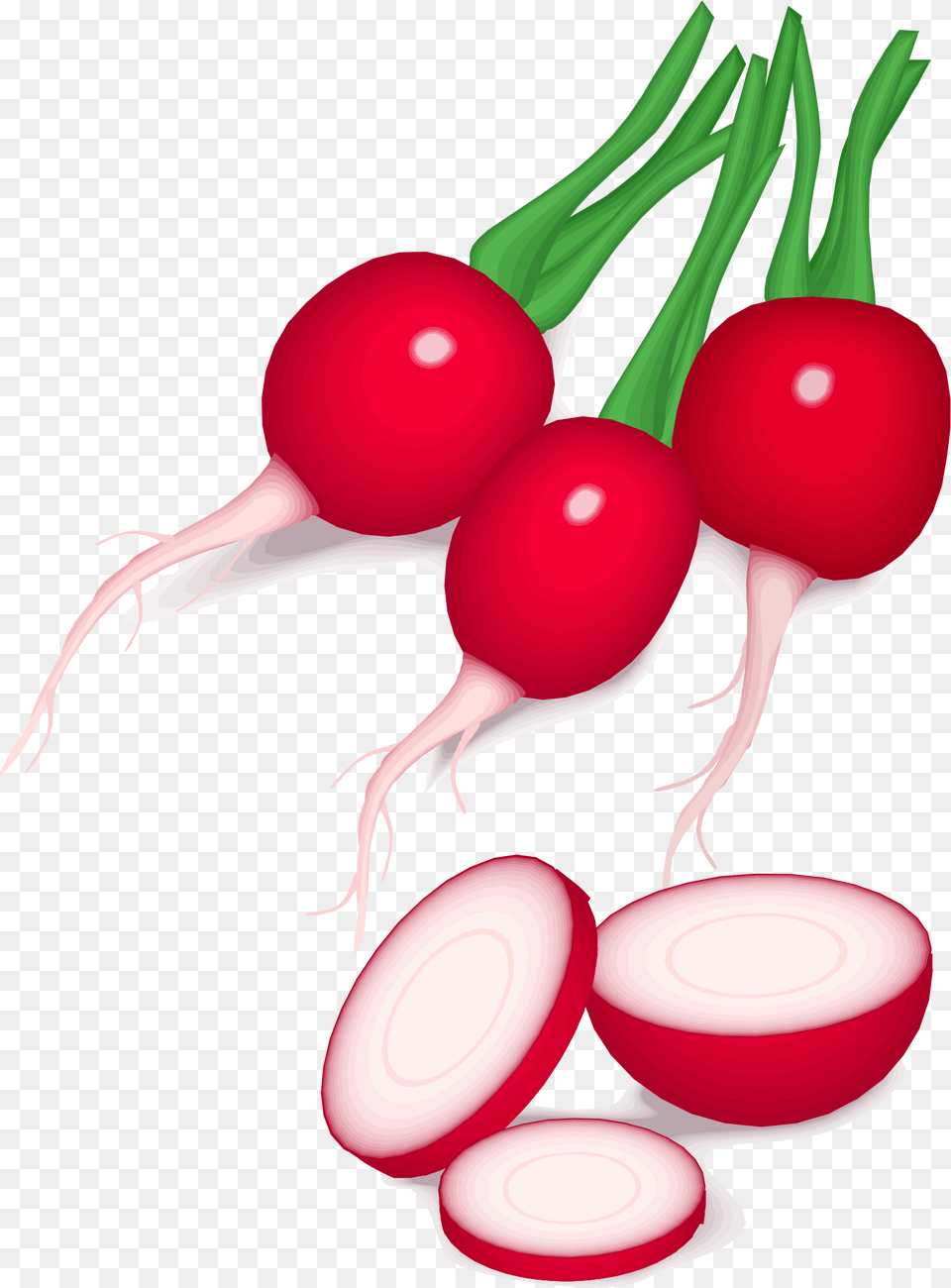 Radish, Food, Plant, Produce, Vegetable Free Png Download
