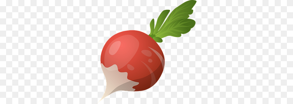 Radish Food, Plant, Produce, Vegetable Free Png Download