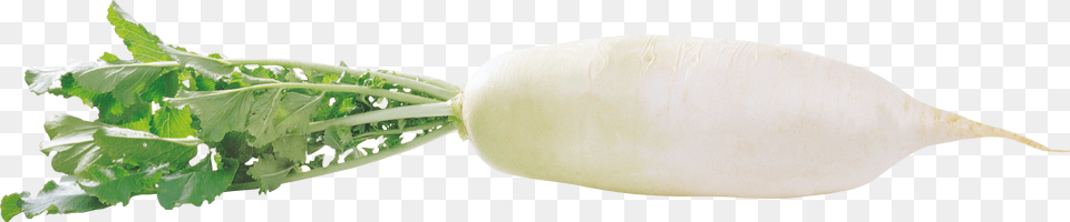 Radish, Advertisement, Poster, Weapon Free Png