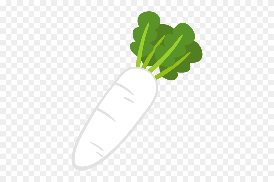 Radish And Vector, Food, Plant, Produce, Vegetable Free Png