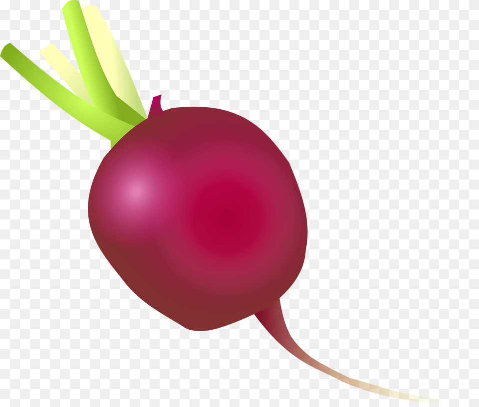 Radish Clipart, Food, Produce, Plant, Vegetable Free Png