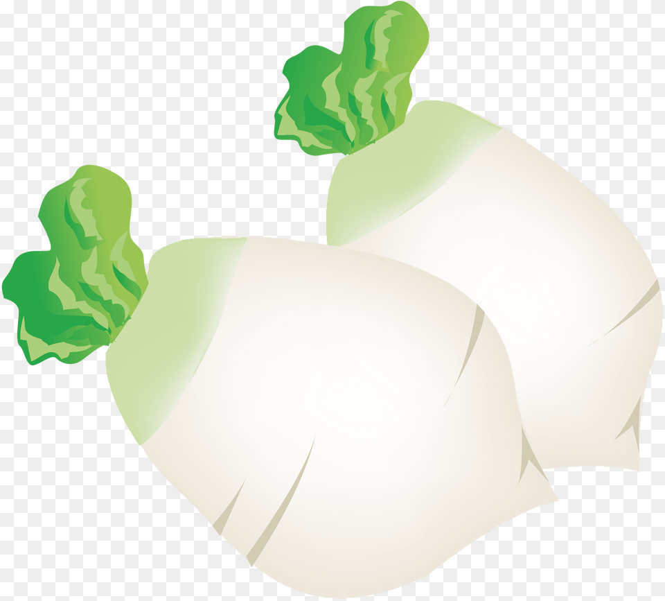 Radish Clipart, Food, Produce, Adult, Male Free Png Download