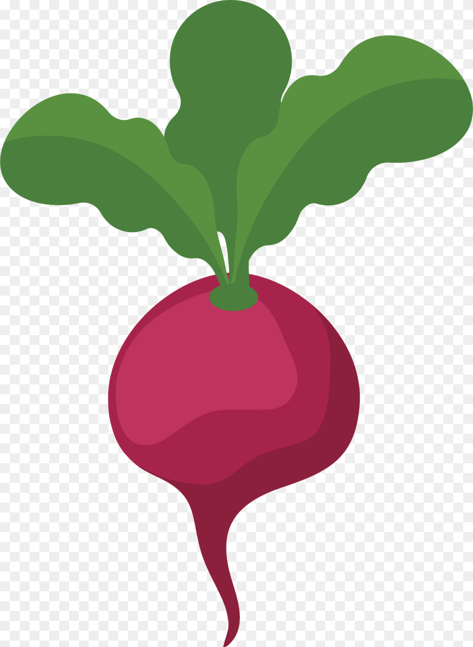 Radish Clipart, Food, Produce, Plant, Vegetable Png Image