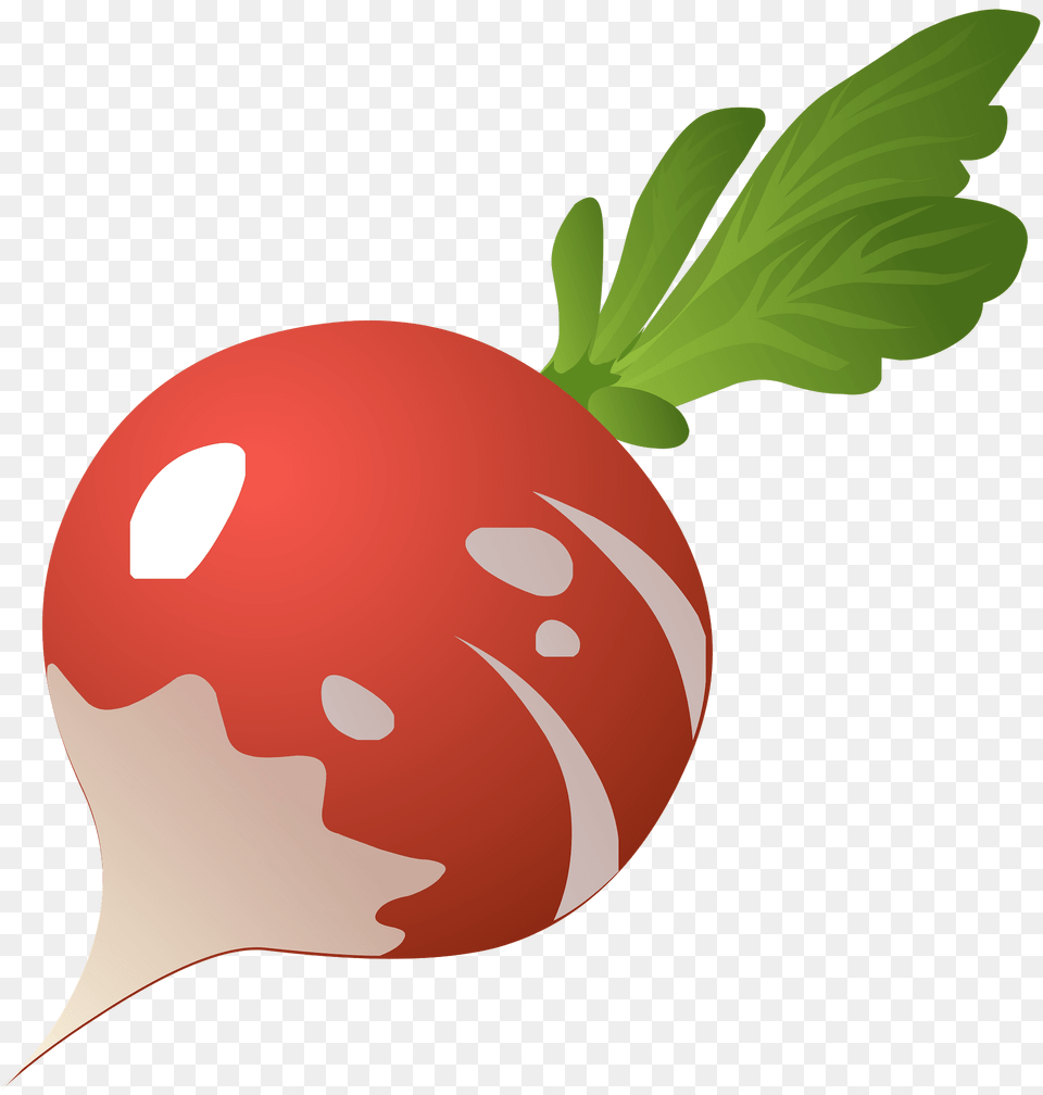 Radish Clipart, Food, Plant, Produce, Vegetable Free Png