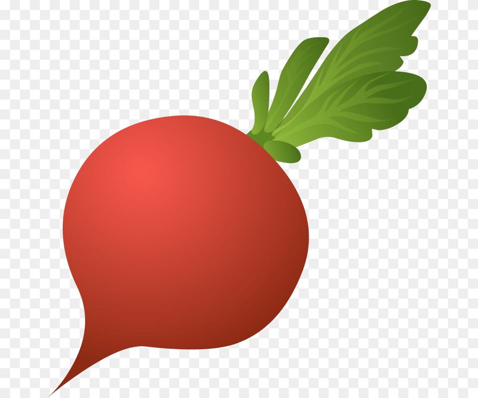 Radish Clipart Turnip, Food, Produce, Plant, Vegetable Png Image