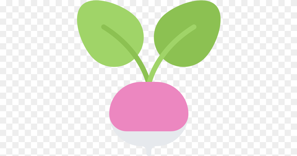 Radish Expat In Croatia Clip Art, Food, Produce, Plant, Vegetable Png