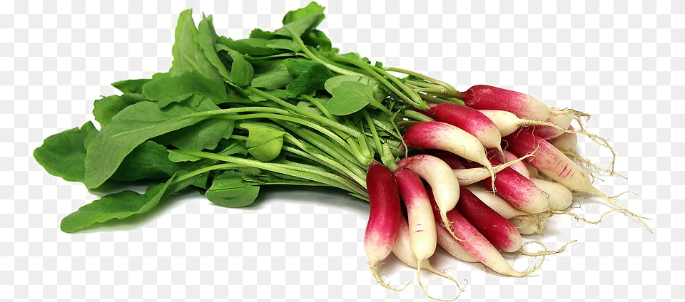 Radish Download Arugula, Food, Produce, Plant, Vegetable Free Png