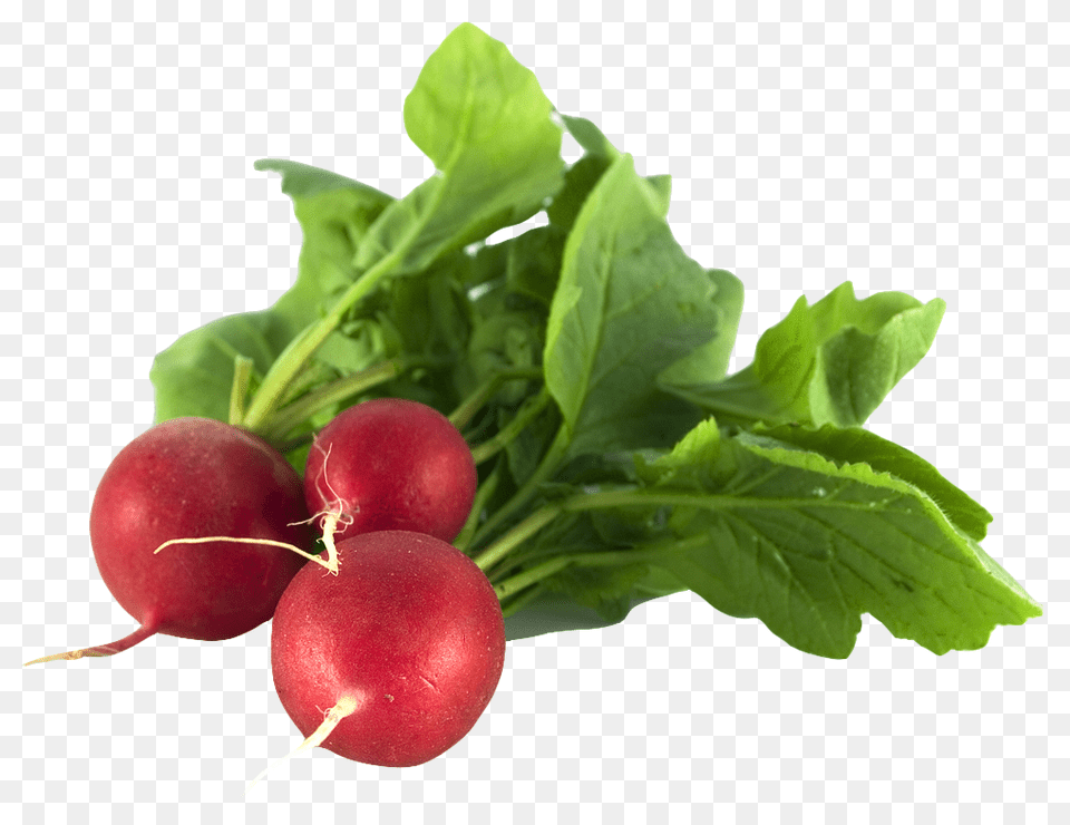 Radish Food, Plant, Produce, Vegetable Png Image