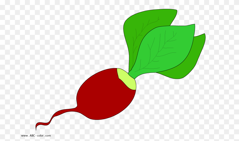 Radish Raster Picture, Food, Plant, Produce, Vegetable Free Transparent Png