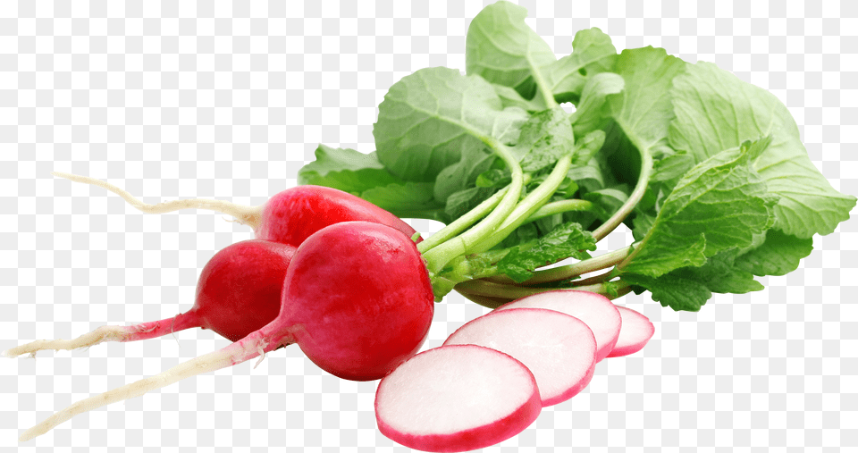 Radish Red Radish Free Transparent Png