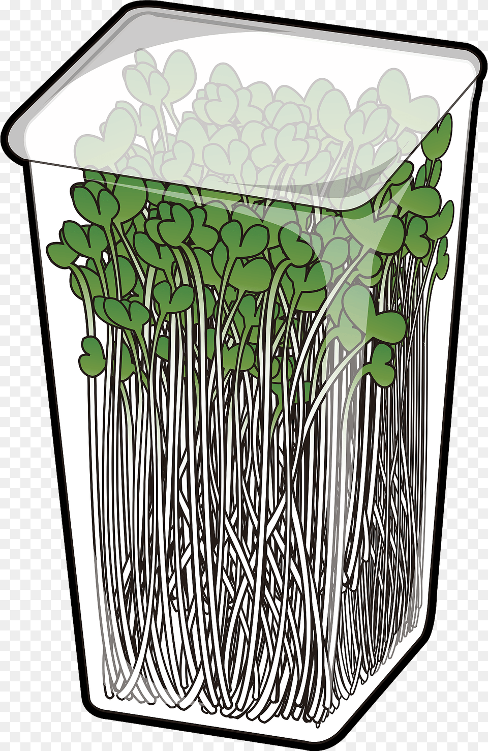 Radish Sprouts Clipart, Jar, Plant, Potted Plant, Pottery Png Image