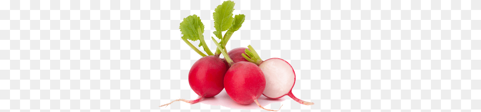 Radish Background, Food, Plant, Produce, Vegetable Free Transparent Png