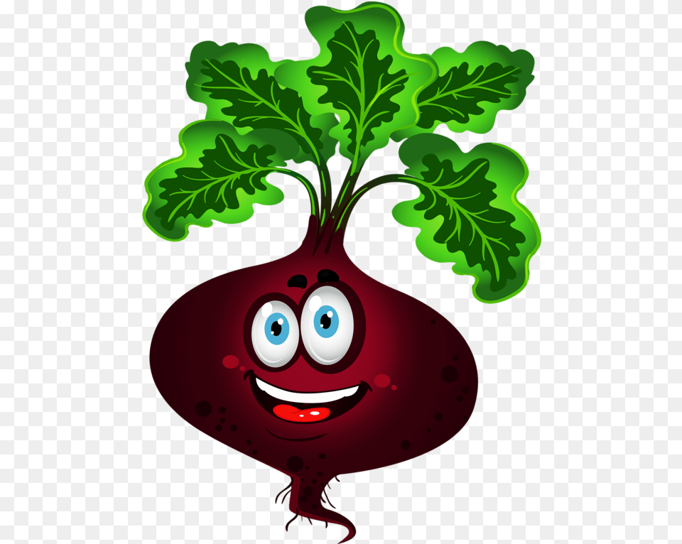 Radish Vector Beetroot Fruits Cartoons, Food, Produce, Plant, Vegetable Png