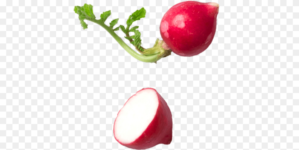 Radish Vegetable, Food, Plant, Produce, Fruit Free Png Download