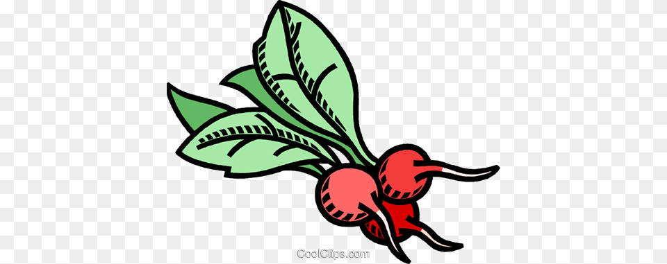Radish Vegetable Royalty Vector Clip Art Illustration, Food, Plant, Produce, Animal Free Png