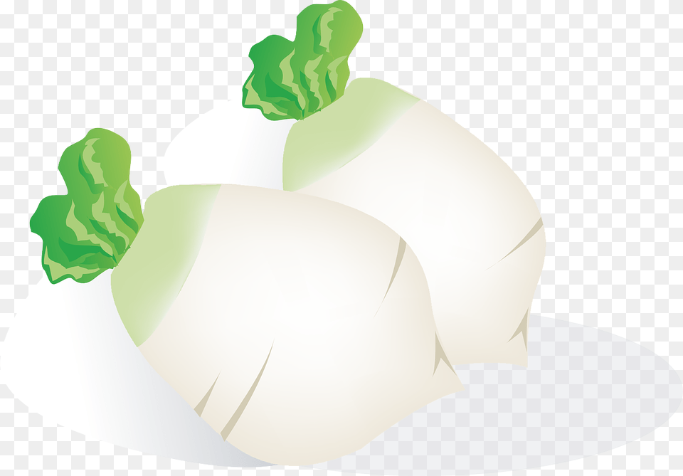 Radish Vegetables Food Picture, Produce, Adult, Male, Man Free Transparent Png