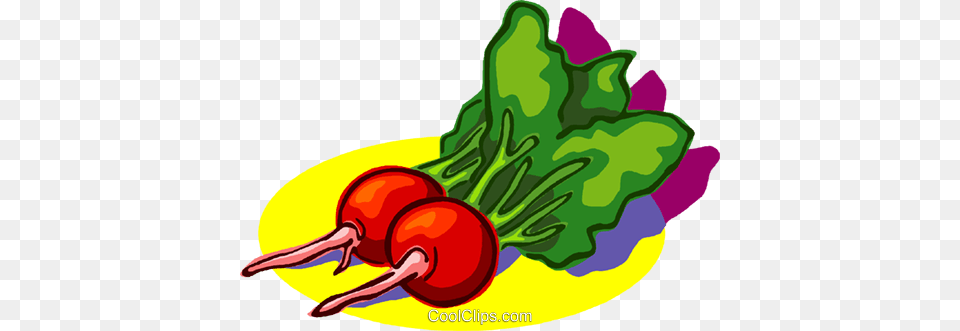 Radish Vegetables Royalty Vector Clip Art Illustration, Food, Plant, Produce, Vegetable Png Image