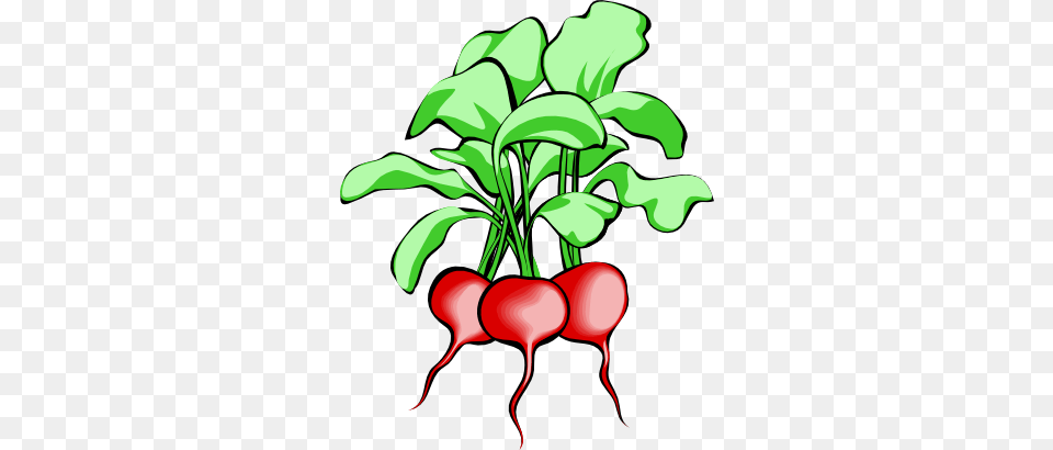Radishes Clip Art, Food, Plant, Produce, Radish Free Png Download