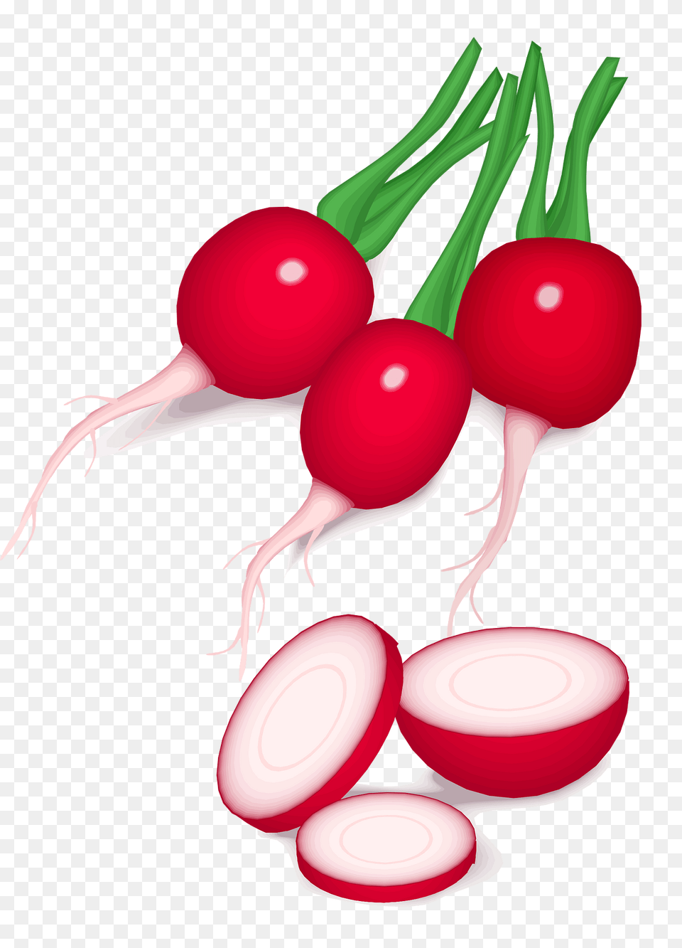 Radishes Clipart, Food, Plant, Produce, Radish Free Png