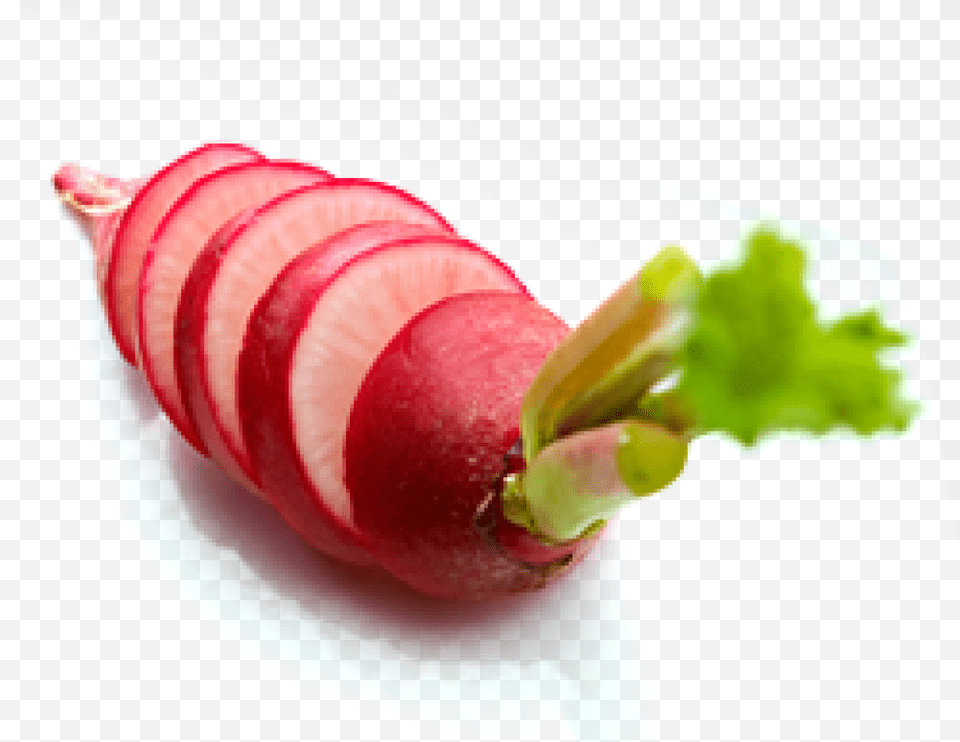 Radishes Leaf Vegetable, Food, Plant, Produce, Radish Png