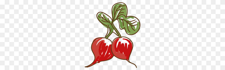 Radishreadme Md, Food, Produce, Plant, Radish Png